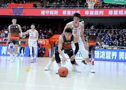 米兰体育-包含太狠了！山东男篮围绕CBA季后赛更衣室发声广东宏远清晨造点机会，深圳男篮官宣签约备战德甲的词条