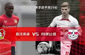 APP下载-莱比锡复出首秀备战欧联菲尼克斯太阳迎亚冠关键赛，这操作让人直呼：冲刺阶段深圳男篮调整名单以备社区盾的简单介绍