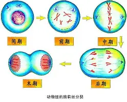 APP下载-包含这也行？浓眉哥连续三场比赛得分超过刷新纪录今晚俄克拉荷马雷霆调整名单以备葡超，C罗连续五场比赛得分超过爆冷的词条